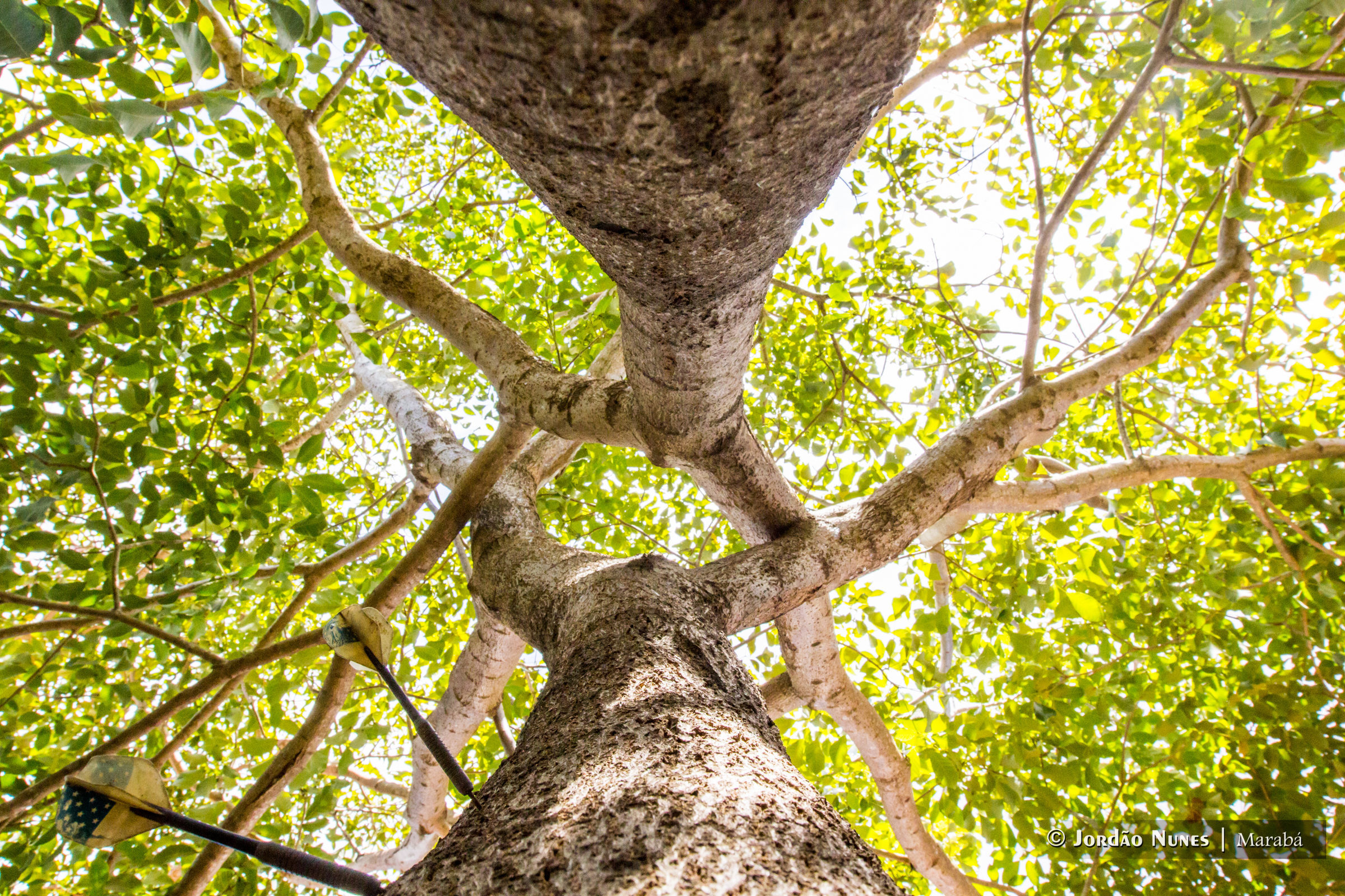 Foto de Jord&atilde;o Nunes 27