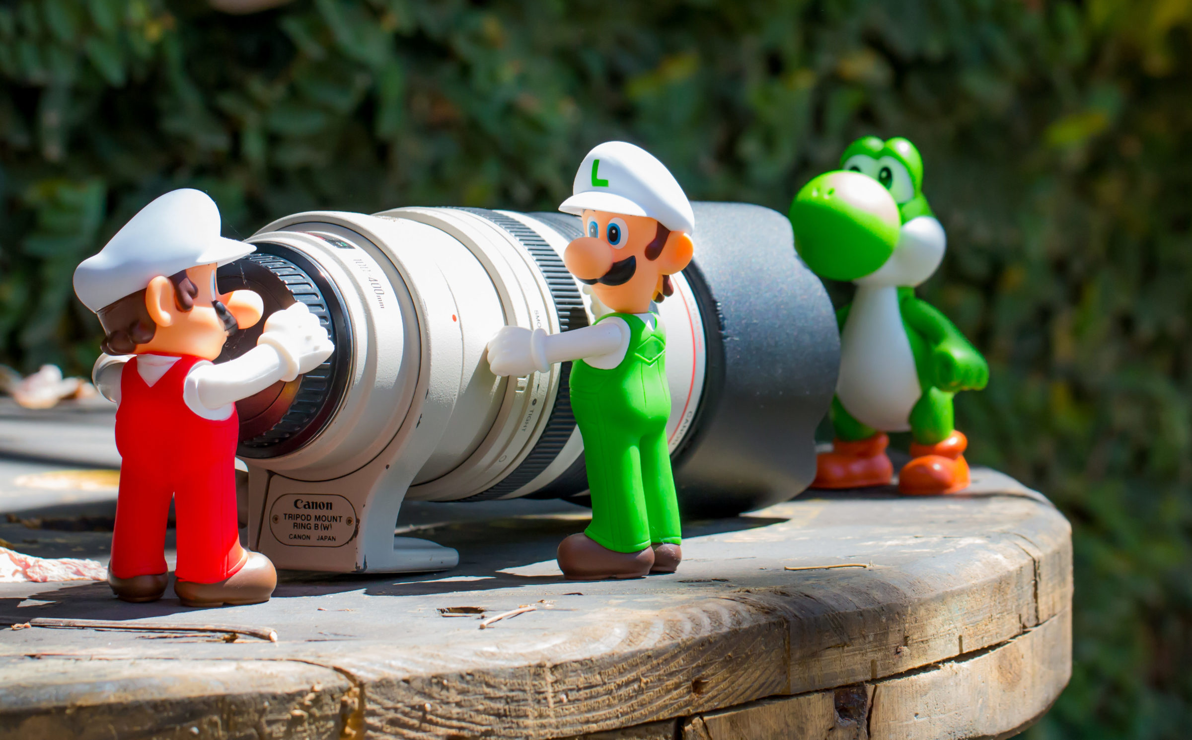 Foto de Jord&atilde;o Nunes 31