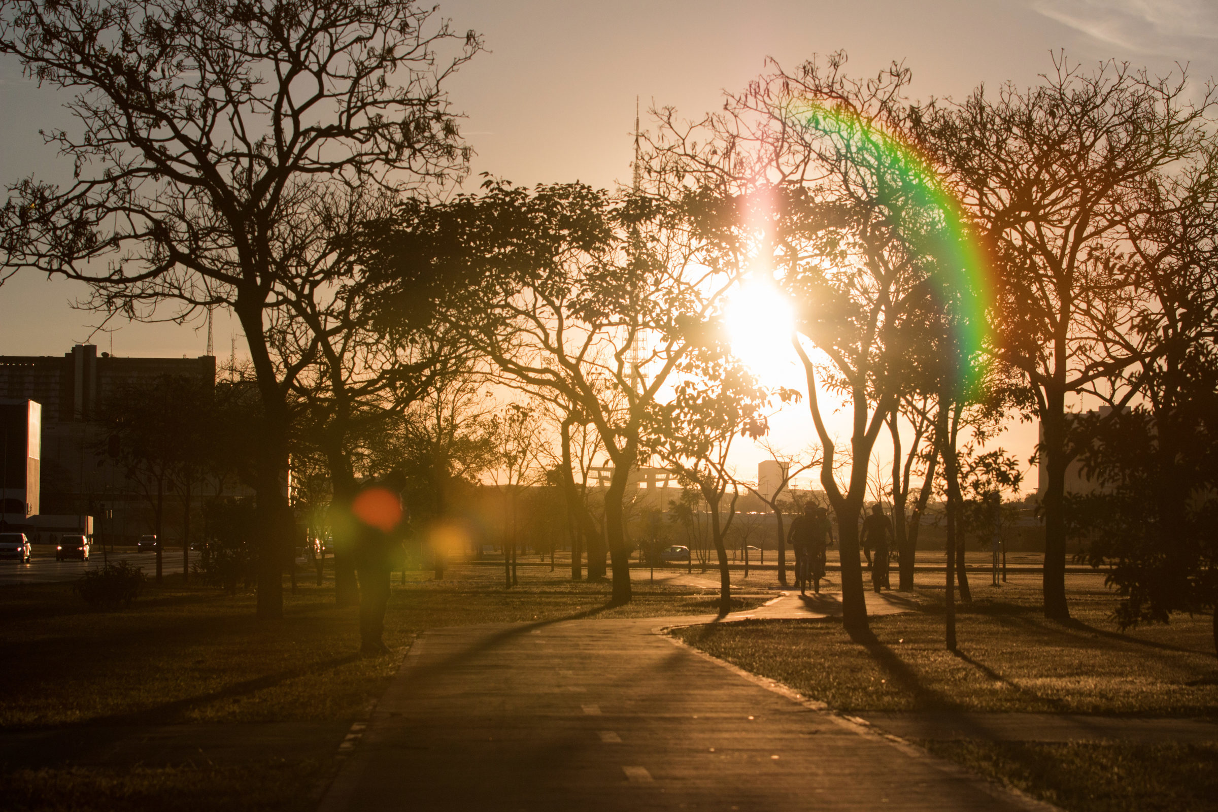 Foto de Jord&atilde;o Nunes 44